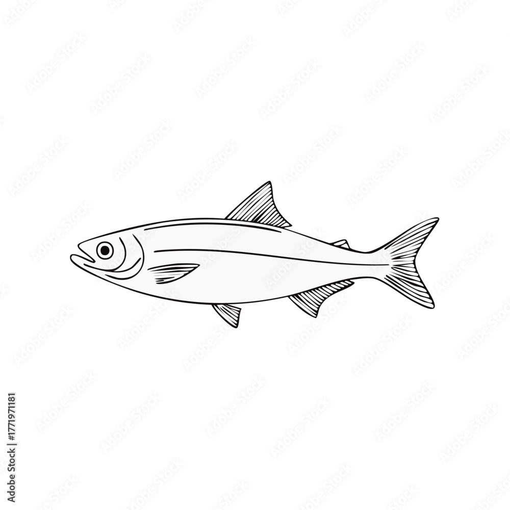 Fototapeta premium Illustration of a stylized fish in black and white against a simple background.