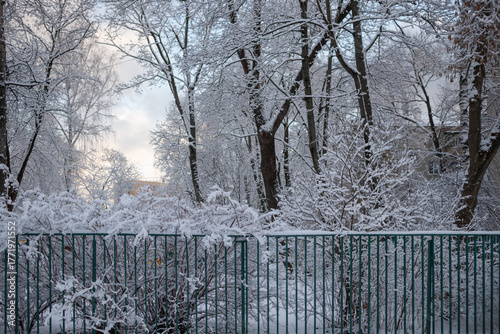 snowfall in the city, winter cityscape