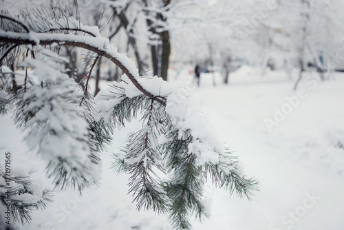 snowfall in the city, winter cityscape