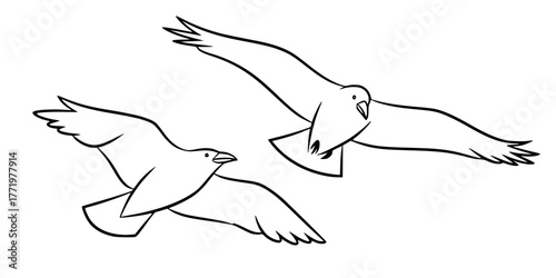 Norse Myth Odin's Ravens Line Art Vector