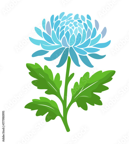 Chrysanthemum flower object. Hand drawn. Not AI, vector illustration.