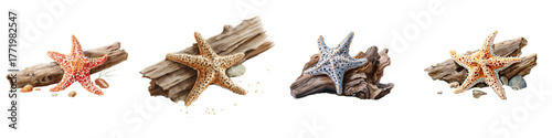 Beautiful starfish on driftwood, a coastal collection evoking a tranquil beach vibe, perfect for summer designs, seaside resorts, or nautical themed projects, originally a vector graphic