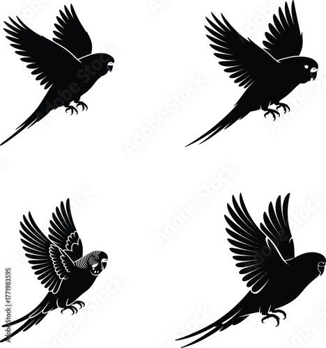 Four distinct black silhouette illustrations of parrots in mid flight showcasing wing positions and tail feathers against a clean white background