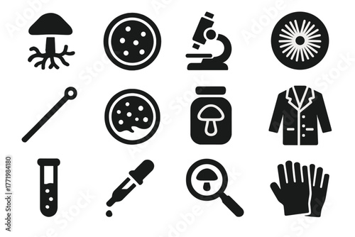 Fungal Research Icons. Solid style icons of Fungal Research: Mycelium, Petri Dish, Microscope, Spore Print, Inoculation Loop, Agar