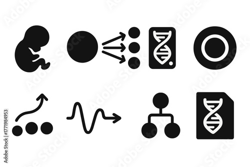 Development Influence Icons. Solid style icons of developmental influence: Embryo Silhouette, Cell Differentiation Arrows, Tissue