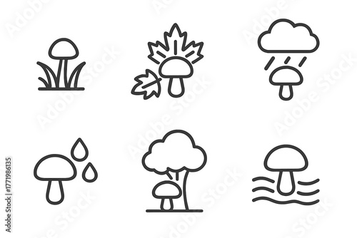 Mushroom Season Icons. Line style icons of Mushroom Seasons and Conditions: spring sprout icon, autumn foliage background, rainy