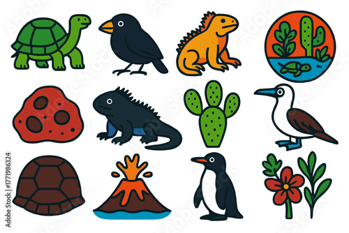 Galapagos Icons Collection. Flat vector icons of Galapagos: tortoise, finch, iguana, unique ecosystem, lava rock, marine iguana,