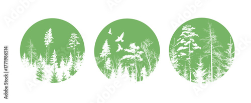 Abstract forest set. Nature green Silhouette of tree and birds. hand drawn. Not AI, Vector illustration.