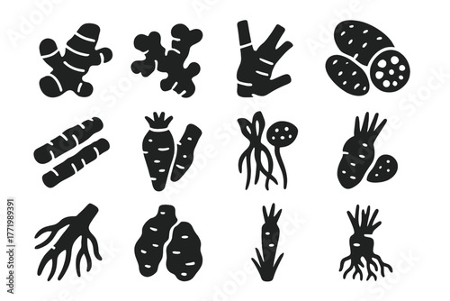 Aromatic Roots Icons. Solid style icons of aromatic roots: turmeric root, ginger root, galangal, horseradish, licorice root,