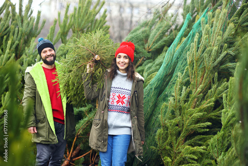 young man and woman choose a Christmas tree in a Christmas tree shop.
