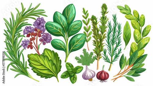 Very beautiful collection of fresh Mediterranean herbs including rosemary, sage, basil, and thyme, isolated over a transparent background, perfect for healthy food design, natural cooking, and herbal 