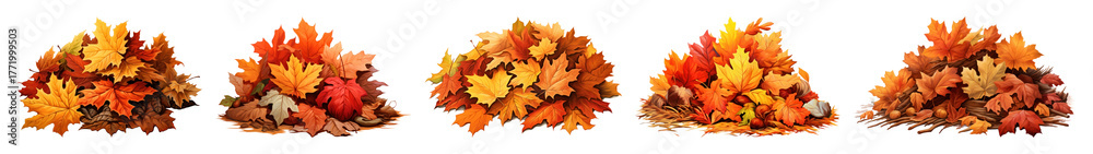 Obraz premium PNG Vibrant autumn leaves collection, element set on transparent background
