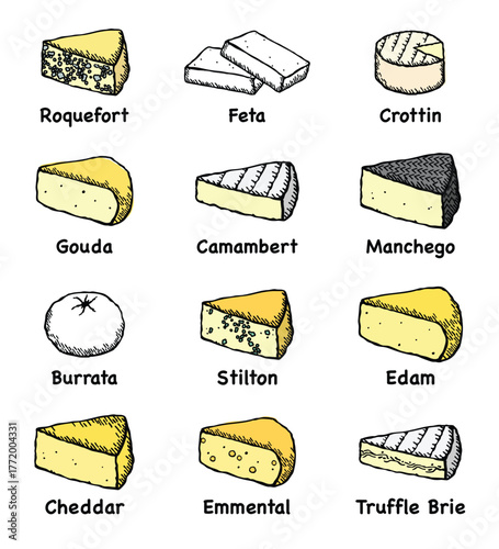 Vector illustration set of different cheeses
