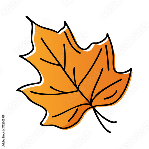 Orange autumn maple leaf vector illustration scalable graphic