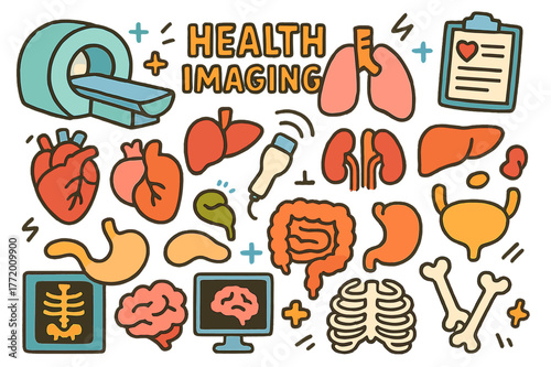 Colorful Medical Doodles. health imaging. Colorful Hand-drawn doodle Children illustration health imaging heart, lungs, liver, kidneys, stomach, intestines,