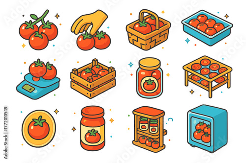 Tomato Harvest Icons. Tomato harvesting and storage. Colorful isometric vector icons set of Tomato harvesting and storage: ripe fruit cluster, hand-picking