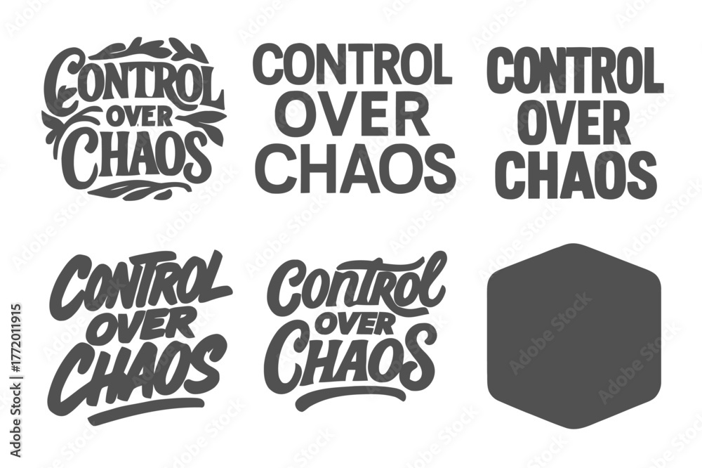 Fototapeta premium Harmonious Lettering Variations. Control Over Chaos. Set lettering. harmonious lettering variations of the same emblematic concept, each with different