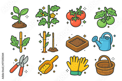 Tomato Plant Icons. Tomato plant. Colorful isometric vector icons set of Tomato plant: young tomato seedling, flowering tomato vine, ripe red tomato cluster,