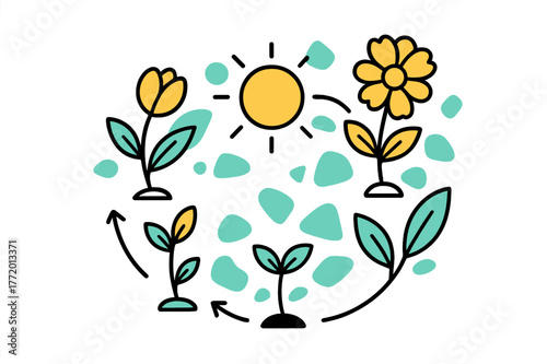 Blossoming Life Cycle. Life Cycle. Minimalist scene of blooming flowers encircling a bright sun; petals evolve into leaves and back again. A soft loop of