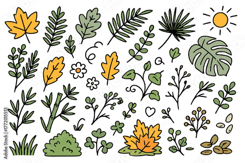Colorful Leaf Doodles. Garden foliage. Hand-drawn doodle illustration maple leaves (colored), oak leaves (colored), fern fronds (colored), ivy (colored), palm