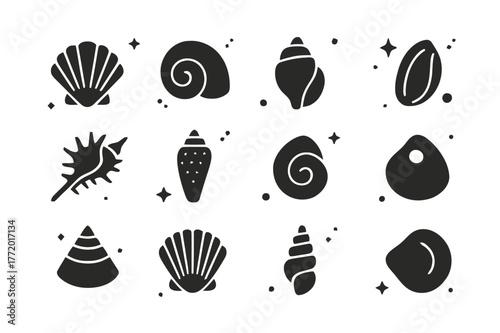 Seashell Icons Collection. Beachcombing Seashells. Solid icons set of Beachcombing Seashells: cockle shell, moon snail shell, tulip shell, olive shell, murex