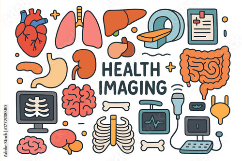 Colorful Medical Doodles. health imaging. Colorful Hand-drawn doodle Children illustration health imaging heart, lungs, liver, kidneys, stomach, intestines,