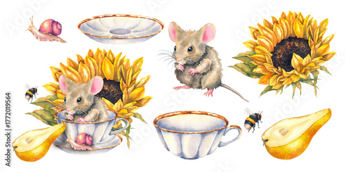 Obraz na plátně Watercolor illustration set sunflower with mouse in cup sliced pear snail on the saucer and flying bumblebee