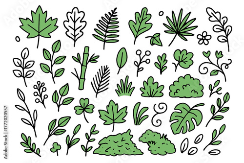 Colorful Forest Foliage. Forest leaves. Hand-drawn doodle illustration maple leaves (colored), oak leaves (colored), fern fronds (colored), ivy (colored), palm