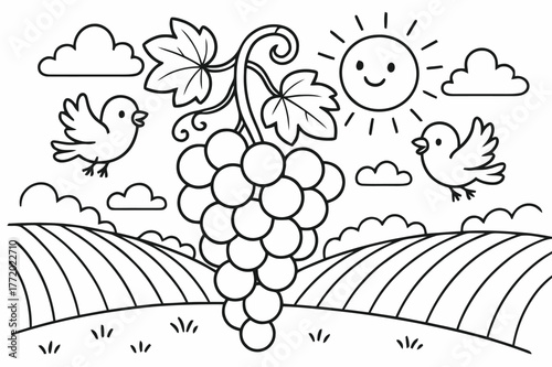 Vineyard Coloring Page. grapes growing on a vine children?s coloring book illustration, outlined drawing, a sunny vineyard with ripe grapes and happy birds,