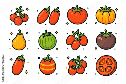 Colorful Tomato Varieties. Tomato varieties. Colorful isometric vector icons set of Tomato varieties: cherry tomatoes, plum tomatoes, beefsteak tomato,