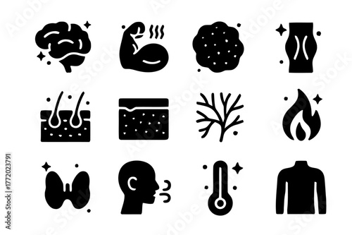 Body Warmth Icons. How the human body stays warm. Solid icons set of How the human body stays warm: hypothalamus, shivering muscles, brown fat, vasoconstricted