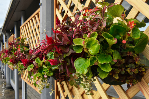 ハンギングフラワー