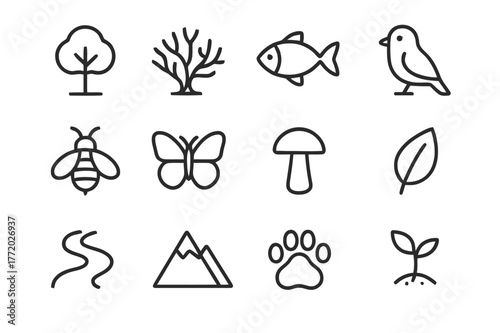 Biodiversity Icons Collection. Biodiversity and ecosystems. Line icon set of biodiversity and ecosystems: tree, coral, fish, bird, bee, butterfly, mushroom,