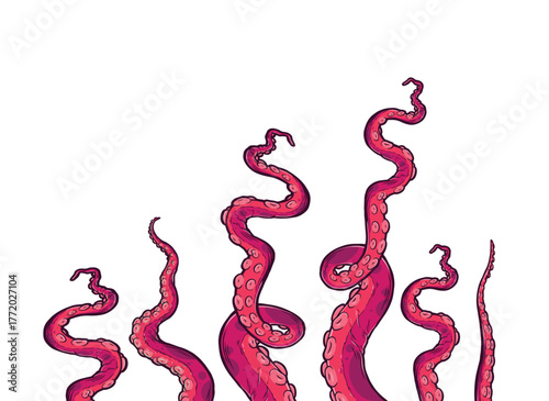 Tentacles of octopus, vector hand drawn collection of illustrations. Black and white engraving style drawings. Tentacle straight and with rings in different angles.