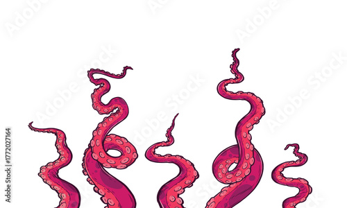 Tentacles of octopus, vector hand drawn collection of illustrations. Black and white engraving style drawings. Tentacle straight and with rings in different angles.