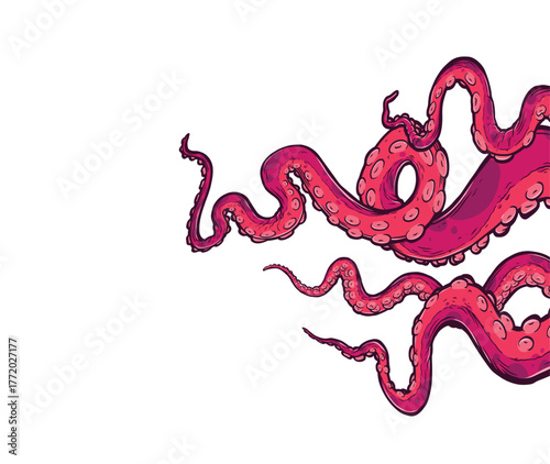 Tentacles of octopus, vector hand drawn collection of illustrations. Black and white engraving style drawings. Tentacle straight and with rings in different angles.