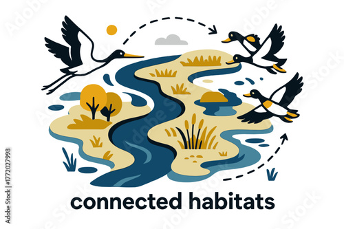River Ecosystem Overview. River Ecosystem ? Bird?s Eye View. Aerial composition of meandering river, islands, and marsh; dotted migration lines cross above.