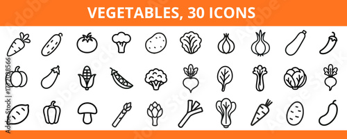 Collection of 30 vegetable icons in minimalistic line art style  