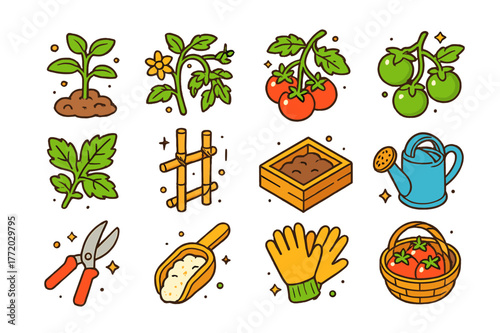 Tomato Plant Icons. Tomato plant. Colorful isometric vector icons set of Tomato plant: young tomato seedling, flowering tomato vine, ripe red tomato cluster,
