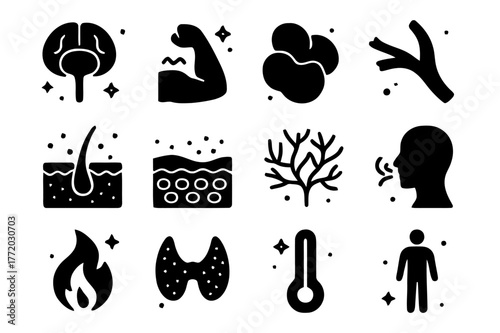 Body Heat Icons. How the human body stays warm. Solid icons set of How the human body stays warm: hypothalamus, shivering muscles, brown fat, vasoconstricted