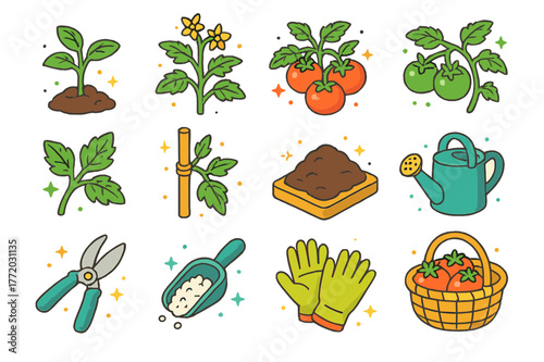 Tomato Plant Icons. Tomato plant. Colorful isometric vector icons set of Tomato plant: young tomato seedling, flowering tomato vine, ripe red tomato cluster,