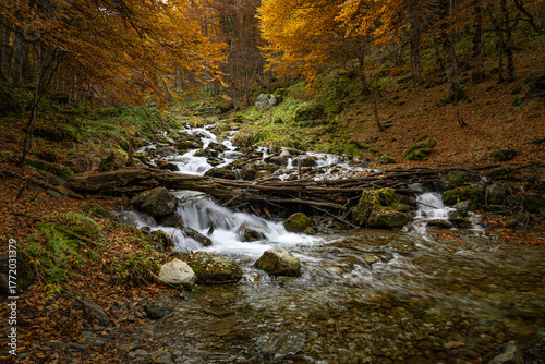 A scenic stream near Prevalle flows down from the Šar Mountains (Šar Planina), framed by rich autumn foliage and fallen leaves on the banks