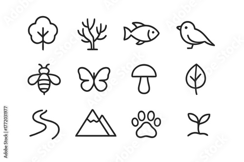 Biodiversity Icons Collection. Biodiversity and ecosystems. Line icon set of biodiversity and ecosystems: tree, coral, fish, bird, bee, butterfly, mushroom,