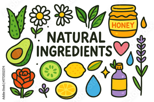 Natural Ingredients Doodle. Natural Ingredients. Colorful Hand-drawn doodle Children illustration Natural Ingredients aloe leaf, chamomile flower, green tea