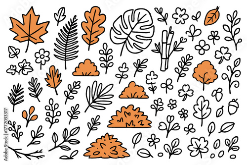 Vibrant Hand-Drawn Foliage. Tropical foliage. Hand-drawn doodle illustration maple leaves (colored), oak leaves (colored), fern fronds (colored), ivy