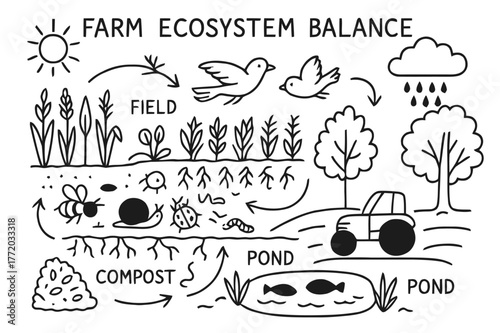 Farm Ecosystem Doodle. Farm ecosystem balance. Hand-drawn doodle illustration Farm ecosystem balance field, crops, insects, worms, birds, trees, sun, rain,