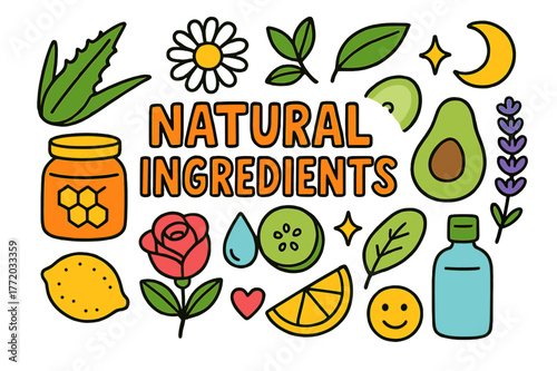 Natural Ingredients Doodle. Natural Ingredients. Colorful Hand-drawn doodle Children illustration Natural Ingredients aloe leaf, chamomile flower, green tea