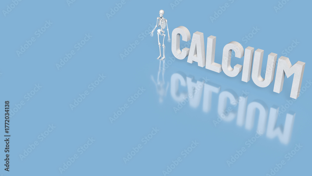 Fototapeta premium The Skeleton on blue Background for calcium concept 3d Rendering.