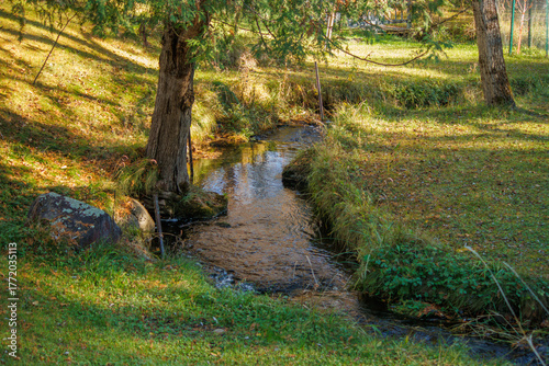 A stream on a farm in Michigan