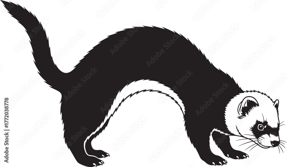 Obraz premium Playful black ferret silhouette prowling with curious expression and long tail arched symbolizing agility and curiosity